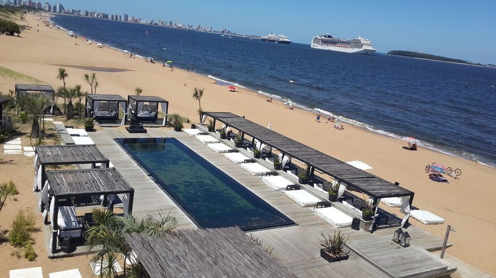Serena - Exclusivo Adultos 4*